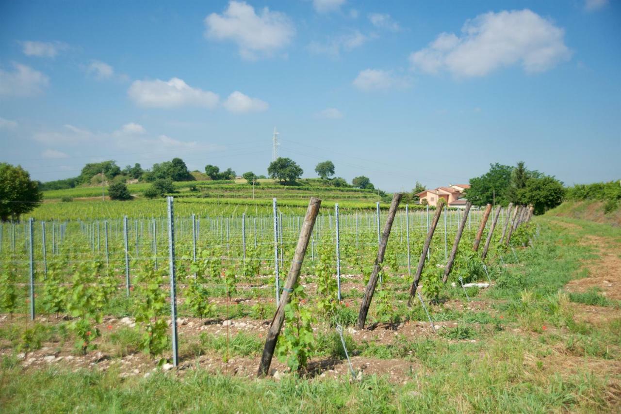 Agriturismo Albarello Sona Buitenkant foto