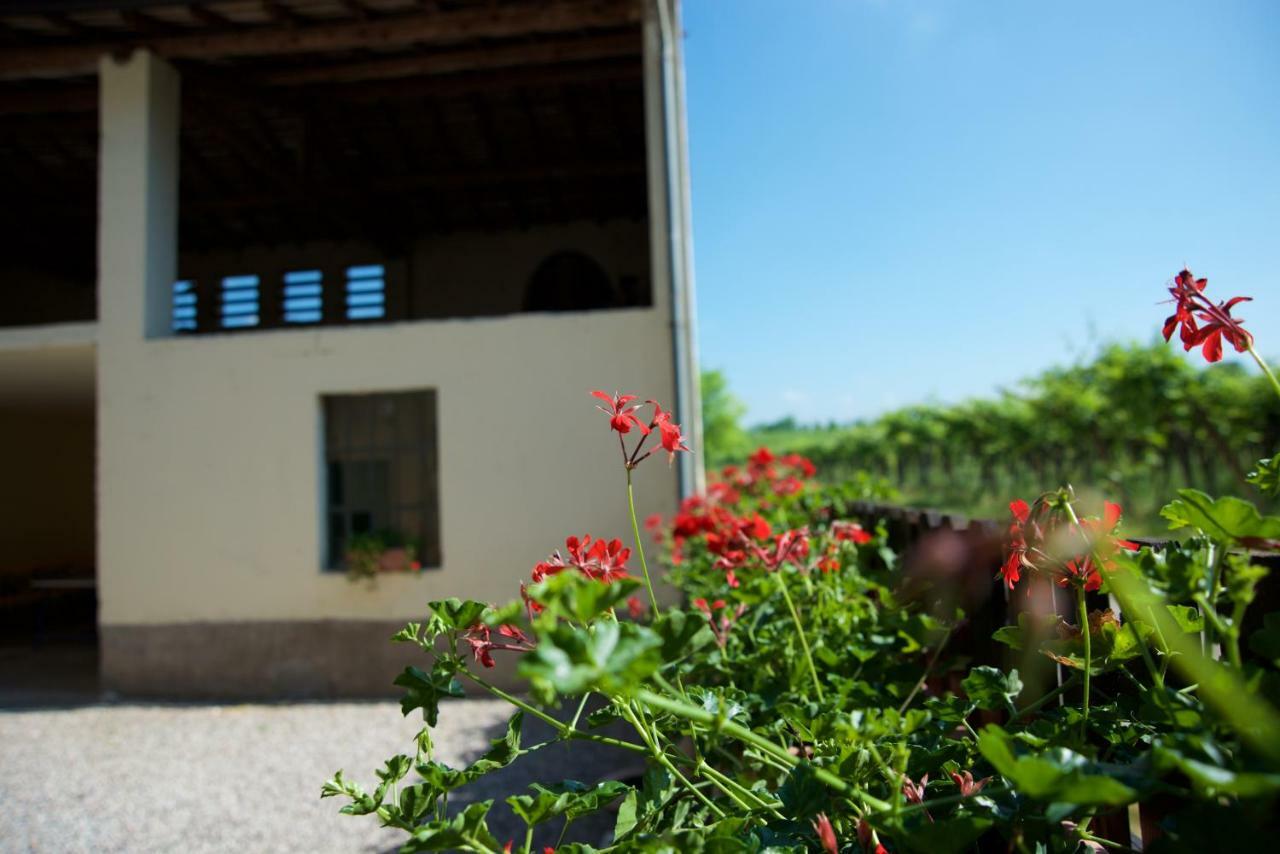 Agriturismo Albarello Sona Buitenkant foto