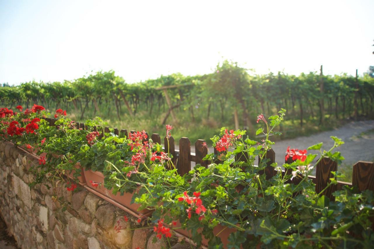 Agriturismo Albarello Sona Buitenkant foto